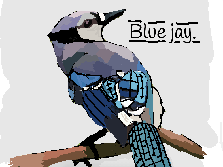 Blue jay